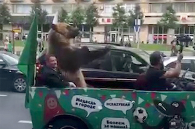 Полиция заинтересовалась медведем из кабриолета с Тверской
