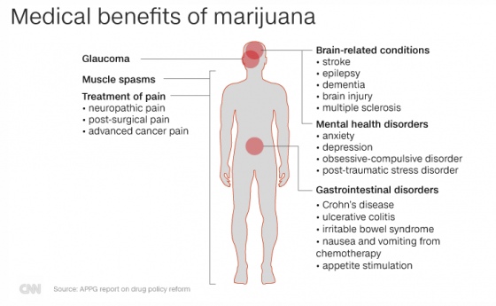 рассеянный склероз марихуана лечение