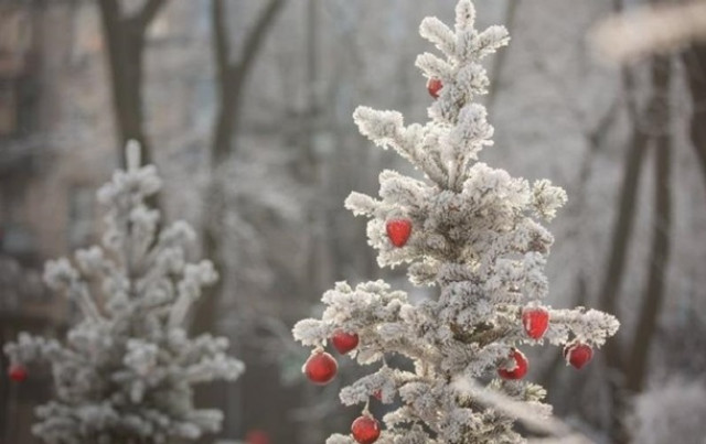 Погода на Рождество: чего ждать украинцам