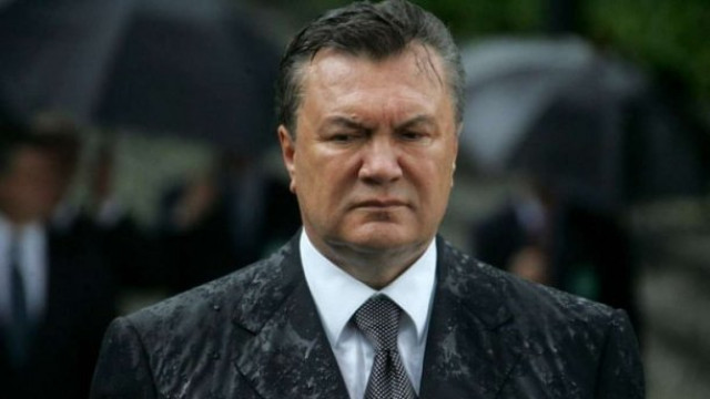«Обезглавленного» Януковича внезапно обнаружили на прилавке «Сильпо»: фото не для слабонервных