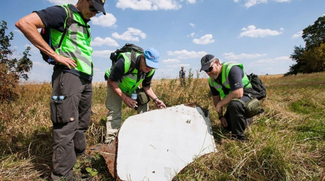 Нидерланды будут расследовать роль Украины в крушении MH17