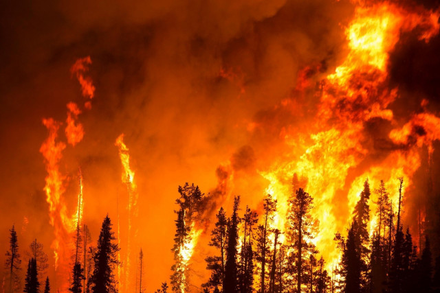 Масштабные лесные пожары на Канарах: всех жителей и туристов эвакуировали (ФОТО)