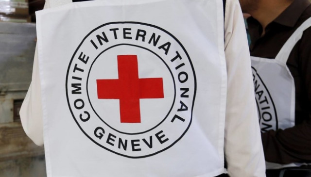 Red Cross sends 137 tonnes of humanitarian aid to occupied Donbas