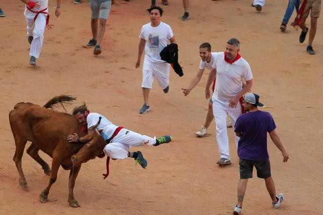 Five hospitalized on seventh day of Pamplona bull run