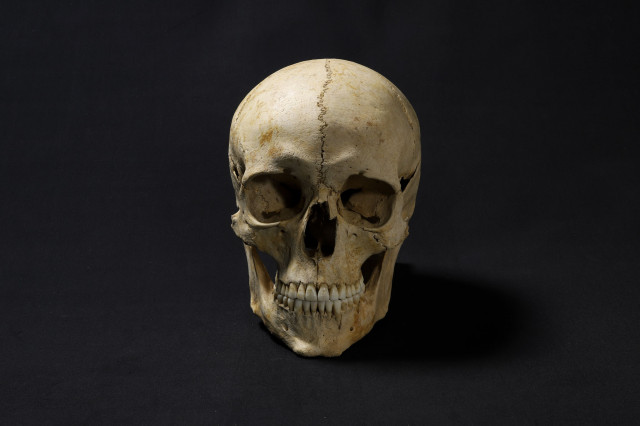 Лицо человека, жившего 1300 лет назад, воссоздали на фото