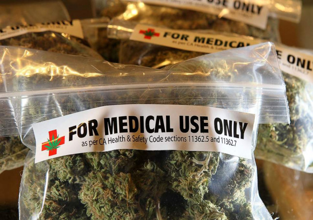 Uruguay begins exporting medical marijuana, Germany is first EU client