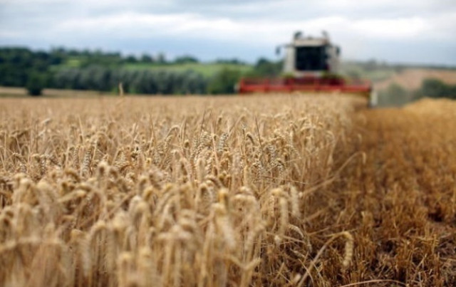 Украина уже исчерпала квоту на экспорт пшеницы
