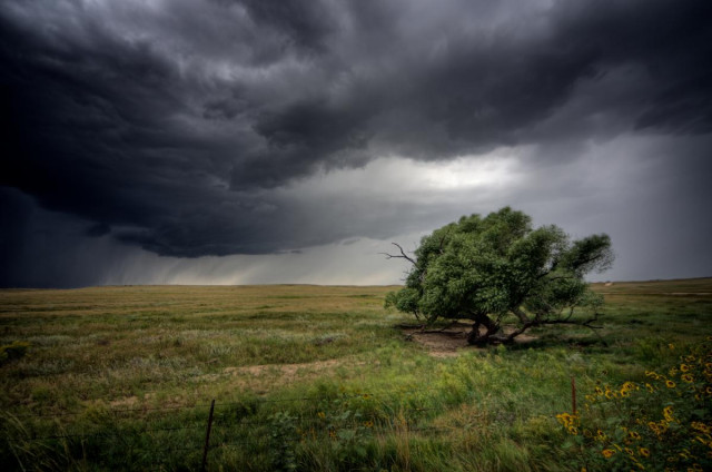 У восьми областях України оголосили штормове попередження (список)
