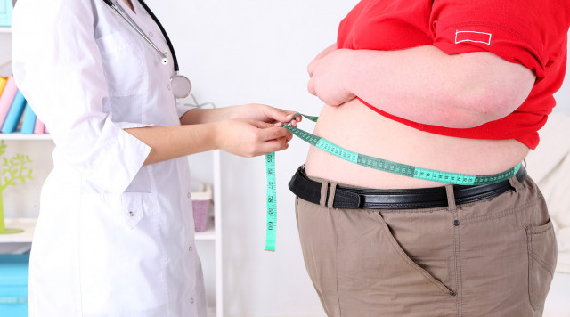 Неврологи обнаружили, что у склонных к ожирению мозг работает иначе
