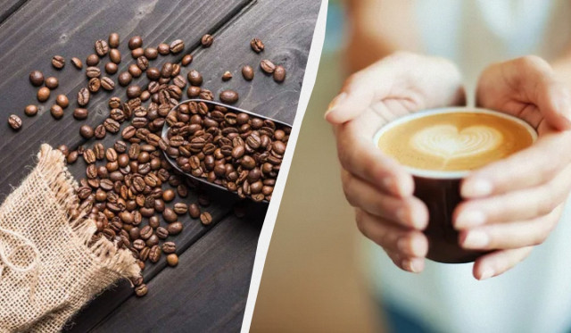 Яка кава краще і смачніше - арабіка або робуста: в чому різниця
