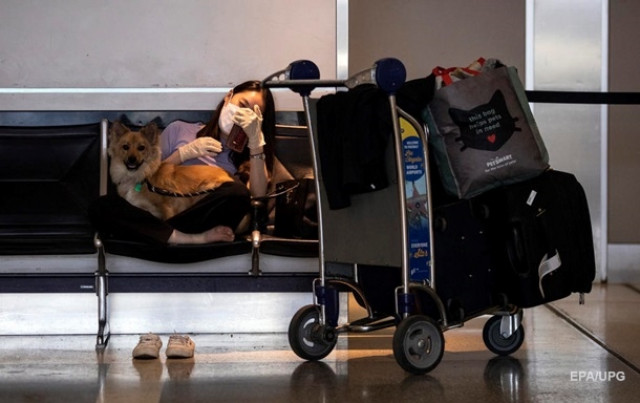 США вводят запрет на ввоз собак из ряда стран, включая Украину