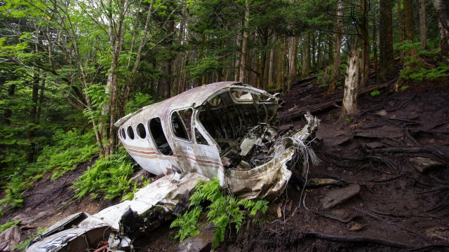 В колумбийских джунглях нашли живыми четырех детей с разбившегося самолета
