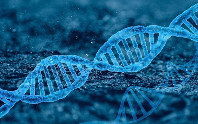 Биологи создали первую искусственную геномную ДНК