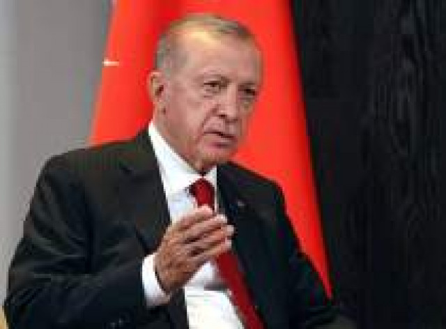 Эрдоган назвал своей целью организацию переговоров Москвы и Киева