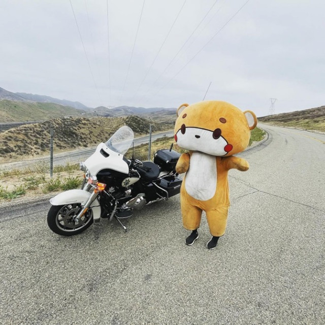 Мужчина в костюме медведя прошел 770 километров