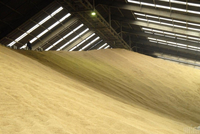 В ЄС озвучили, скільки може діяти обмеження на імпорт зерна з України
